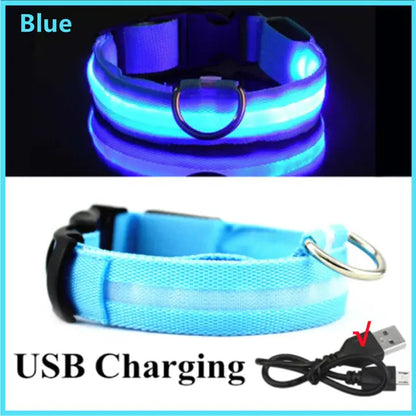 GlowPup Safety Collar