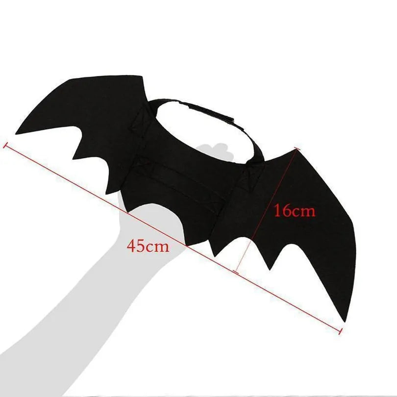 Halloween Cat Bat Wings