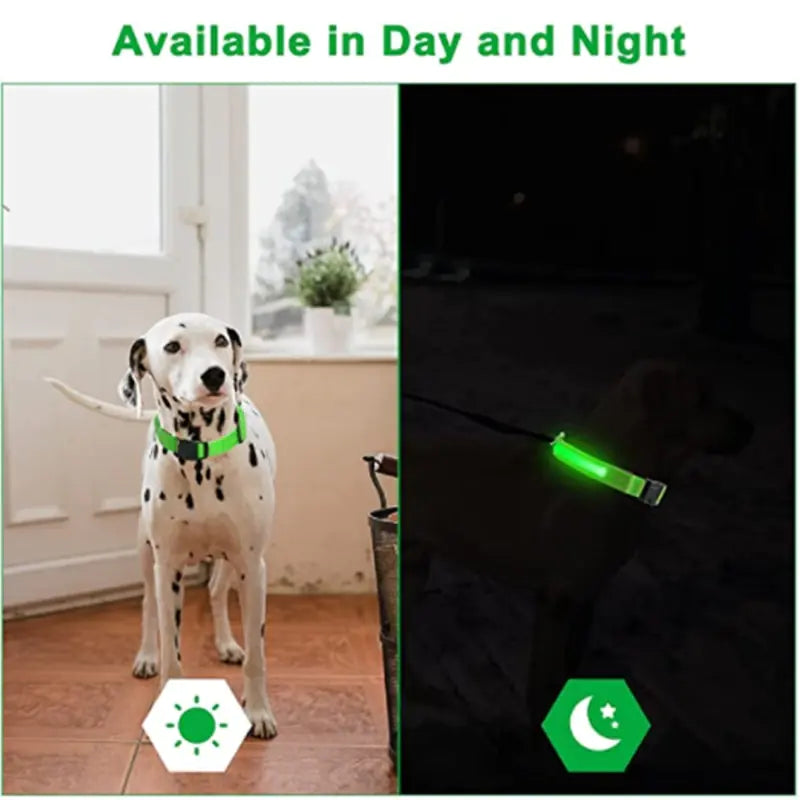 GlowPup Safety Collar