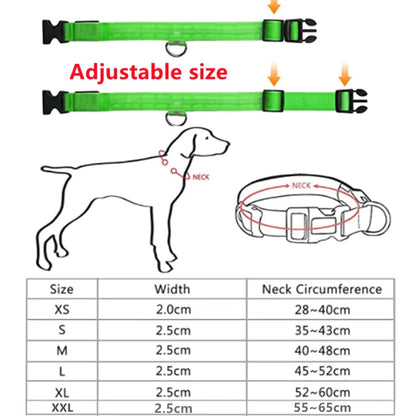 GlowPup Safety Collar