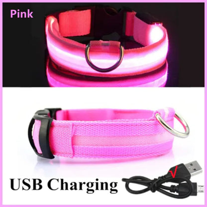 GlowPup Safety Collar