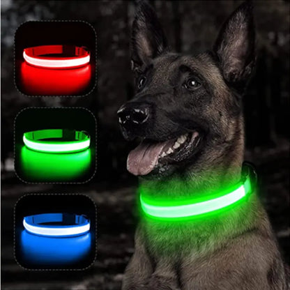 GlowPup Safety Collar