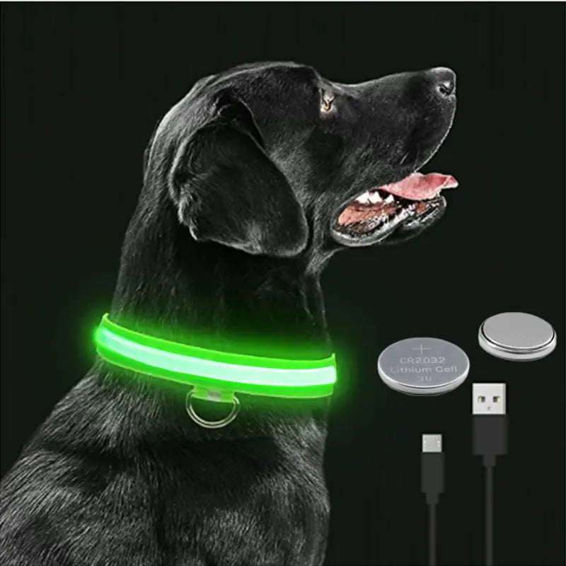 GlowPup Safety Collar