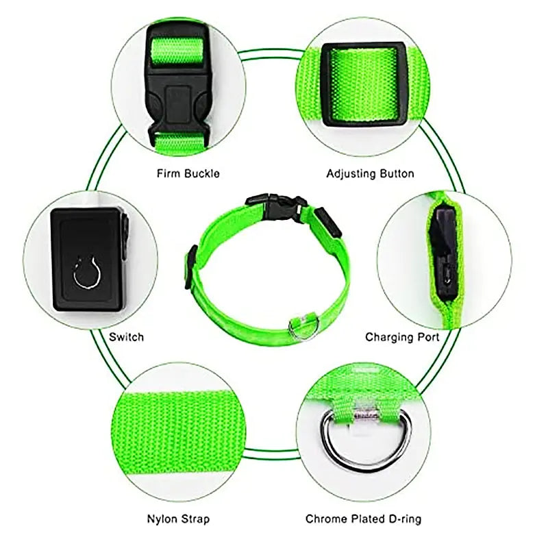 GlowPup Safety Collar